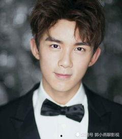 娱乐圈吃瓜指南吴磊,娱乐圈吃瓜指南中的青春偶像