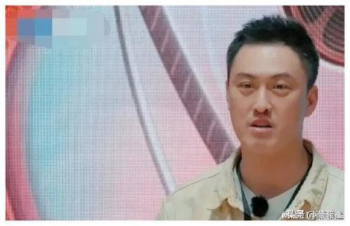 娱乐圈吃瓜爆料旺仔,旺仔爆料，揭秘明星幕后真相