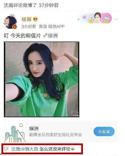 娱乐圈吃瓜评论